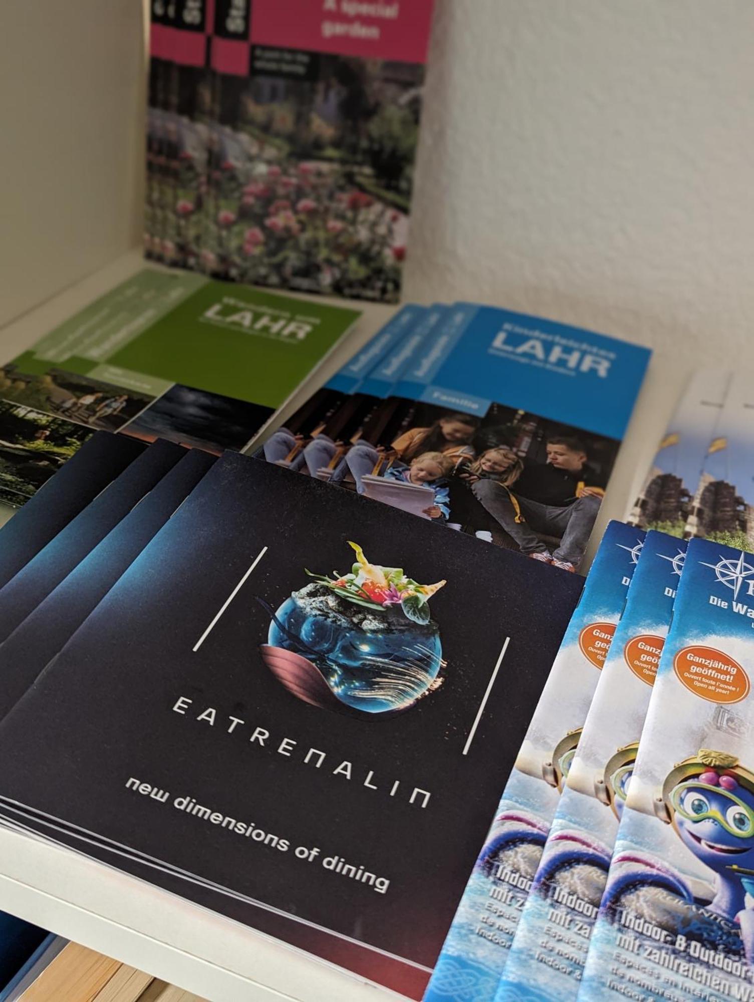 Ferienwohnung Nahe Europa Park Lahr  Ngoại thất bức ảnh