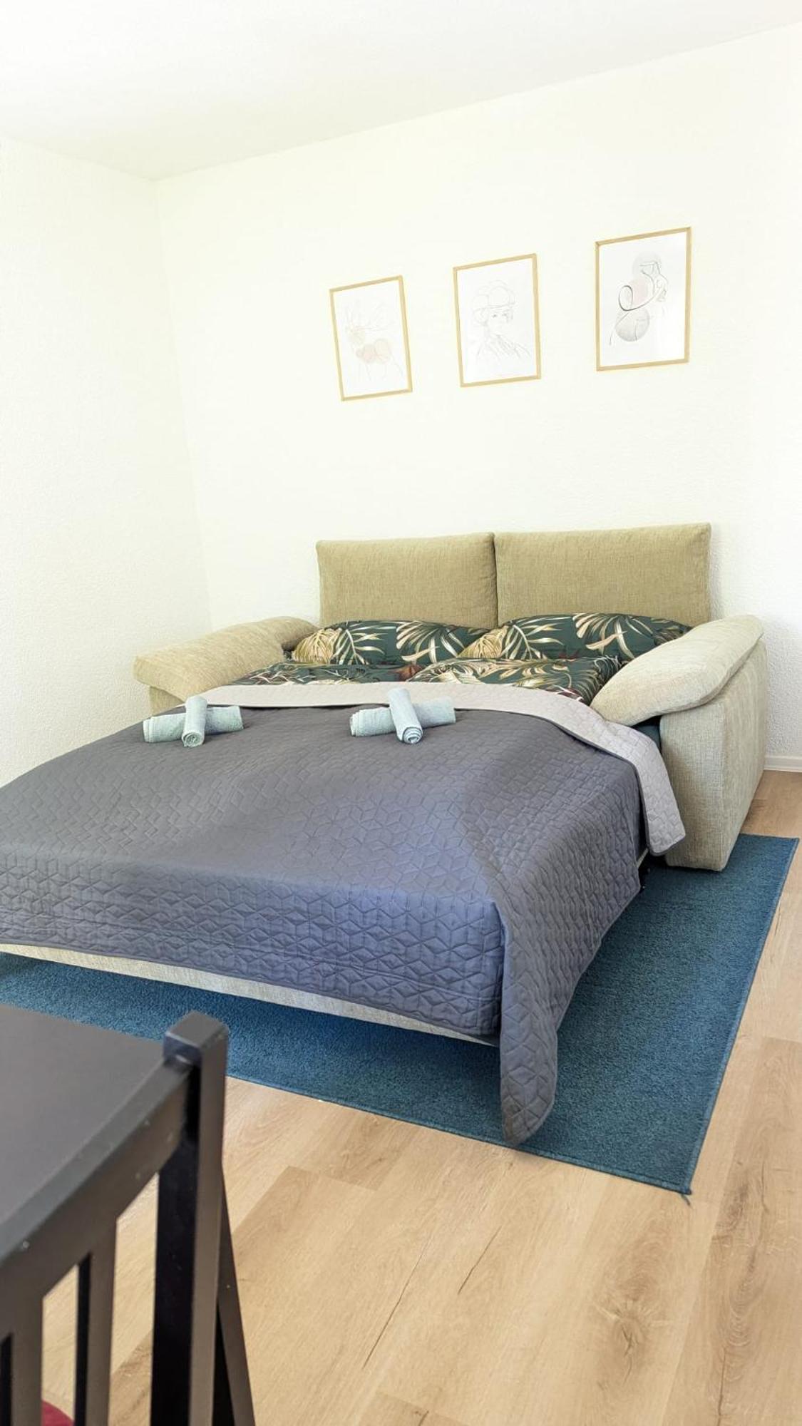 Ferienwohnung Nahe Europa Park Lahr  Ngoại thất bức ảnh